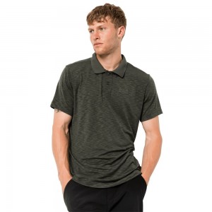 Camisa Polo Jack Wolfskin Travel Hombre Verde Menta | RN3194267