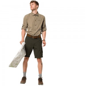 Camisas Jack Wolfskin Lakeside Roll-up Hombre Marrones | BC5863241