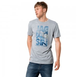 Camiseta Jack Wolfskin Atlantic Ocean Hombre Gris | ME7596413