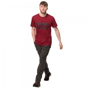 Camiseta Jack Wolfskin Brand Hombre Rojas Oscuro | ZP4935821