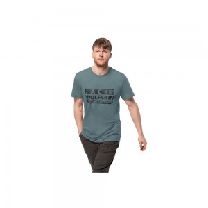 Camiseta Jack Wolfskin Brand Hombre Verde Claro | QN1368042