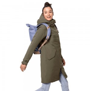 Chaqueta Impermeable Jack Wolfskin Cold Bay Mujer Gris | TO9408361
