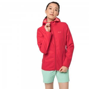 Chaqueta Softshell Jack Wolfskin Northern Point Mujer Rojas | WI1892560