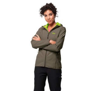 Chaqueta Softshell Jack Wolfskin Northern Point Mujer Gris | XD7235841