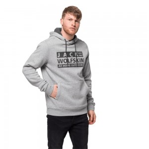 Jerséis Jack Wolfskin Brand Hoody Hombre Gris Claro | VY7620843